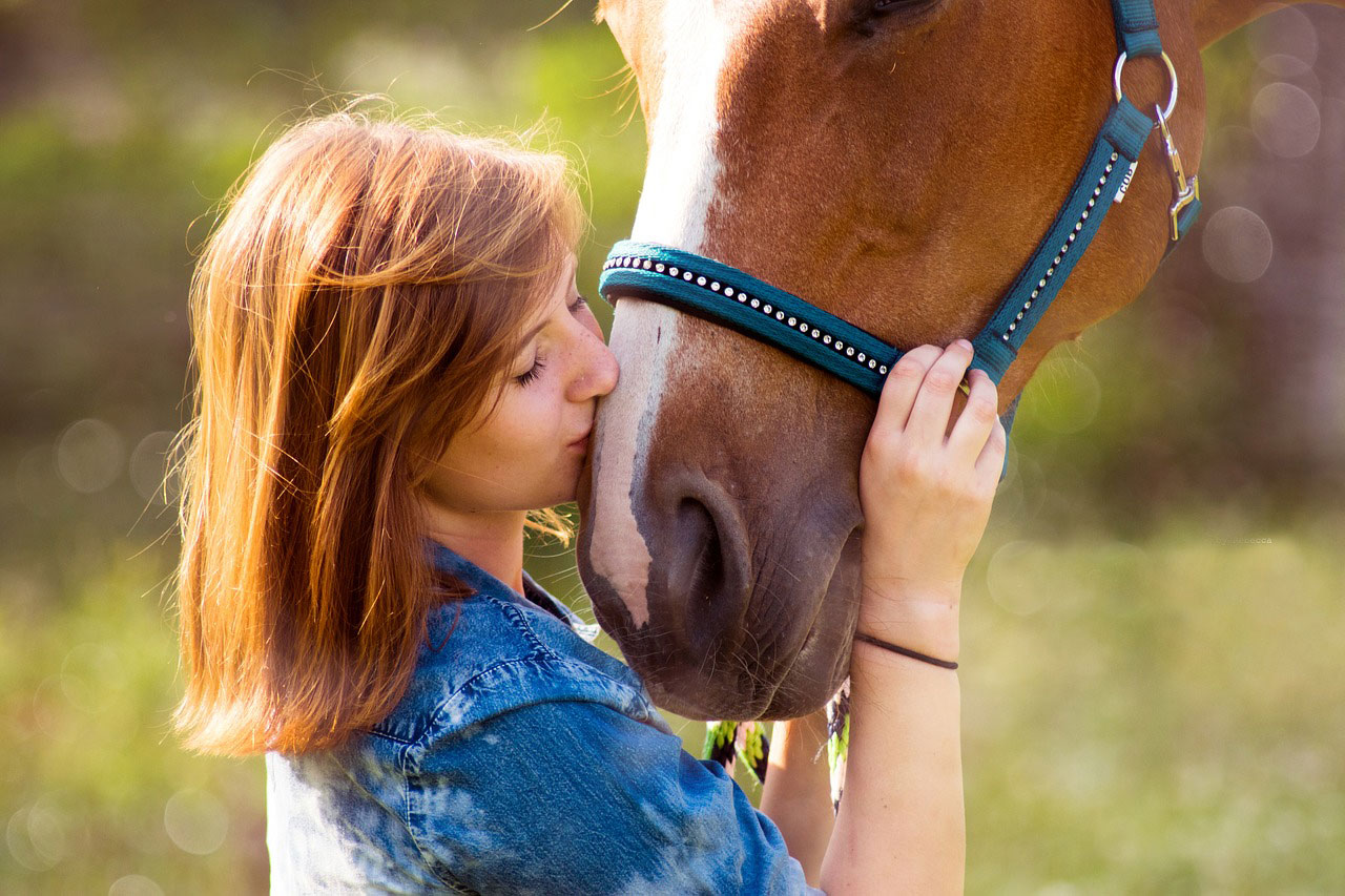 amor ao cavalo