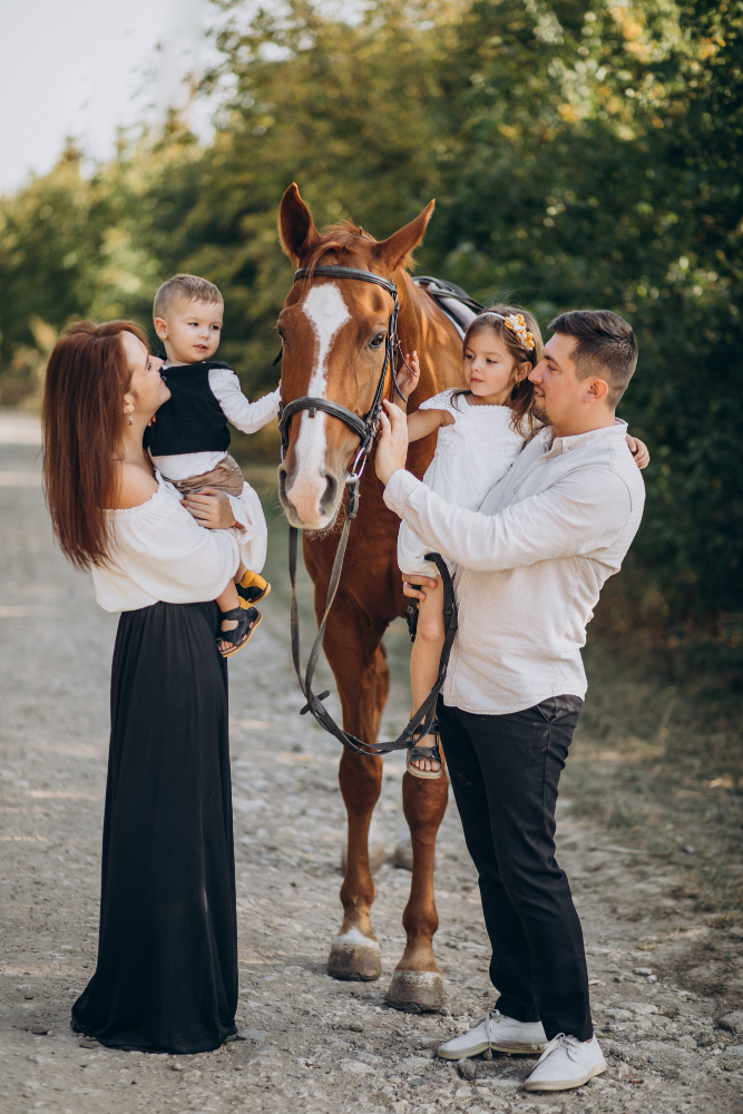 passeio com cavalo