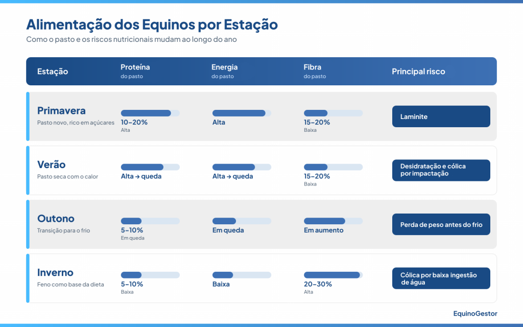 Alimentação equinos por estação