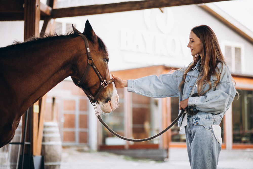 planejamento haras