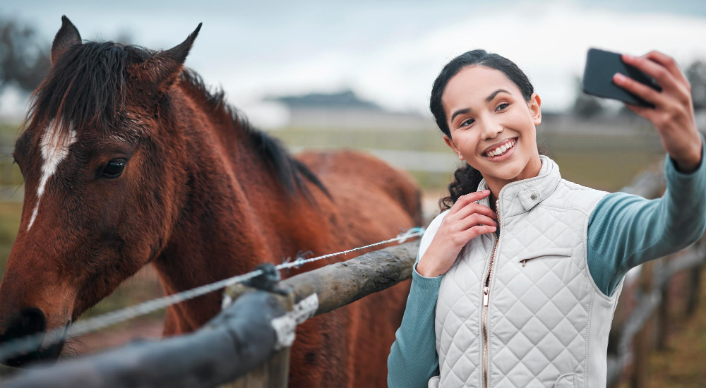 marketing equestre