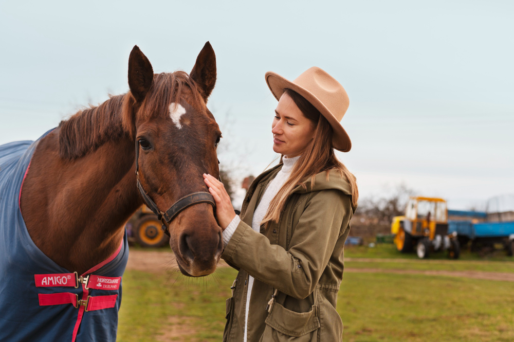 bem-estar equino