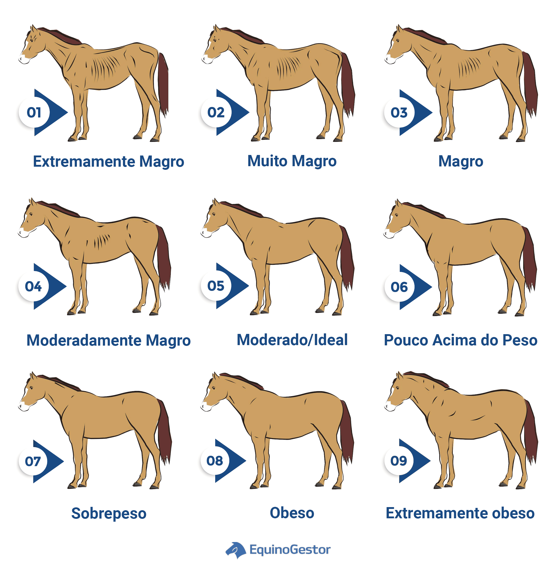 cavalo acima do peso