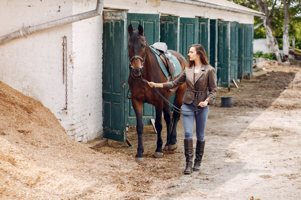 hospedagem-de-cavalos
