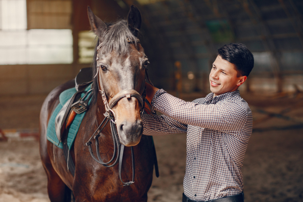 hospedagem de cavalos