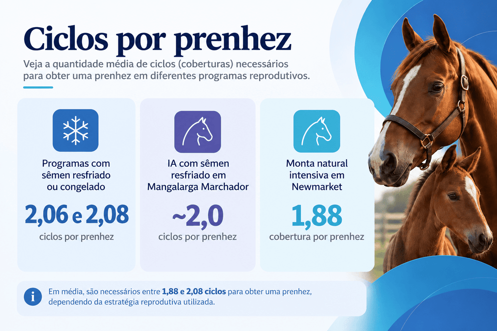 Ciclos por prenhez em equinos