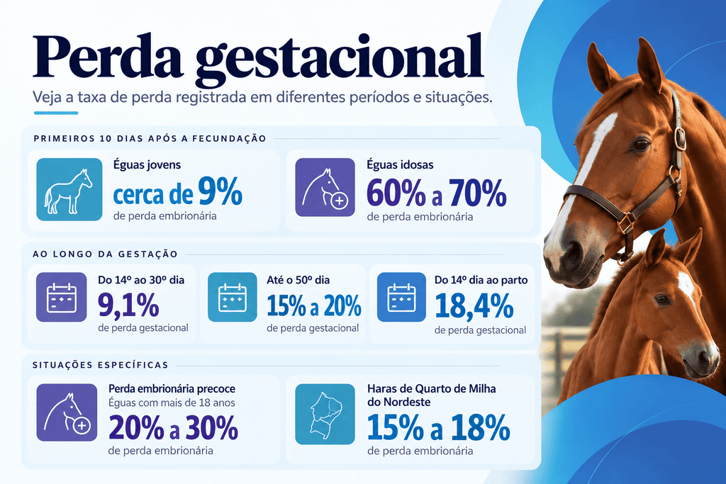 Perda Gestacional em Éguas